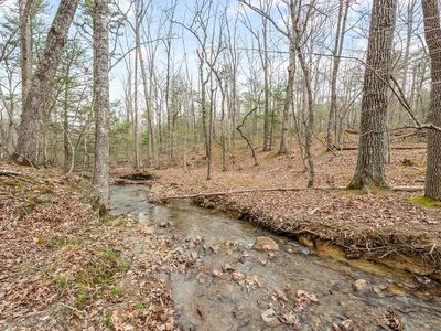Black Diamond Dr, New Castle, VA, 24127