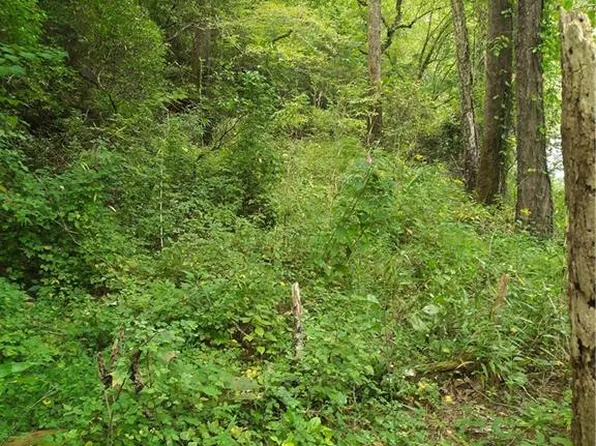 0 Marie 1800, Ellijay, GA 30540