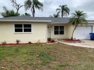 7336 Filbert Ln, Tampa, FL 33637