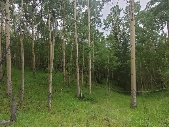 Lot 6882 Donna Road, Fort Garland, CO 81133