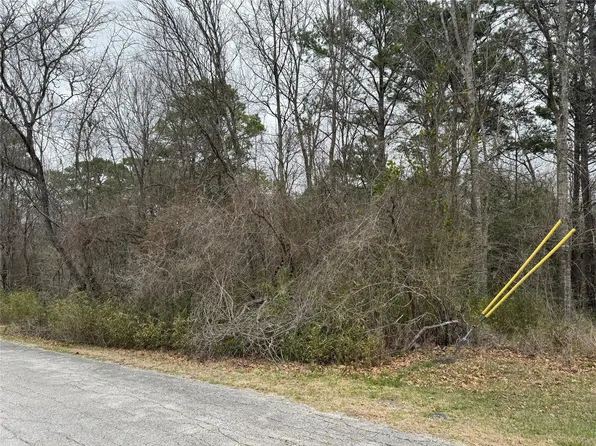 2 Clearwater Cir, Coldspring, TX 77331