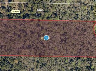 Bronson Rd, Sorrento, FL 32776