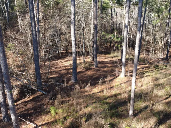 1051 Bluff Rd, Elberton, GA 30635