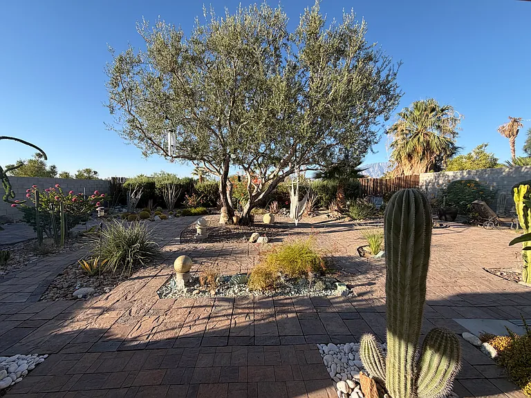 65571 Avenida Cadena — Photo 28