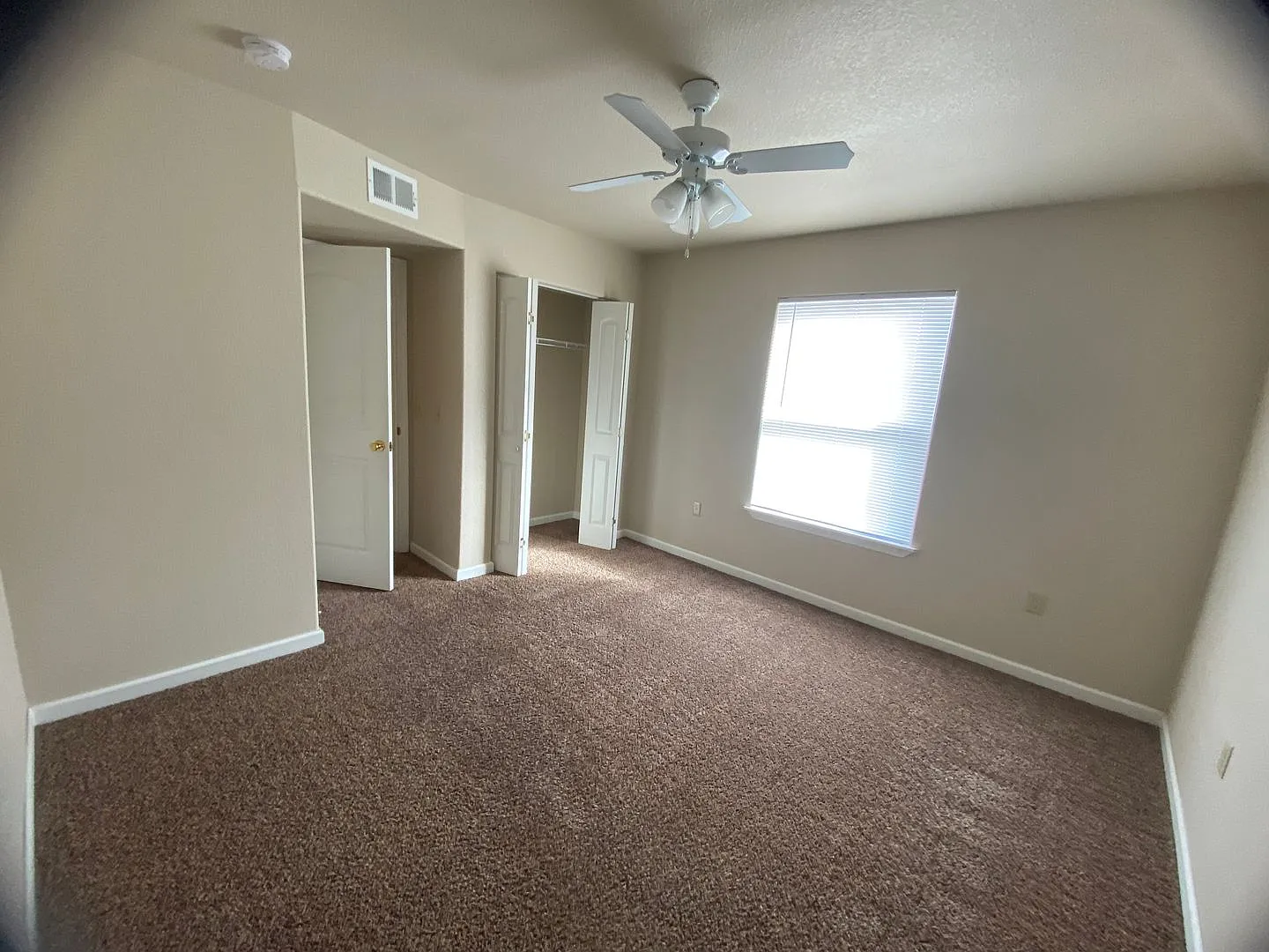 Lovely 1 bed 1 bath — Photo 4