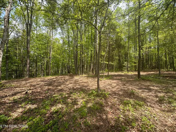 Oloff Smith Rd, Allardt, TN 38504