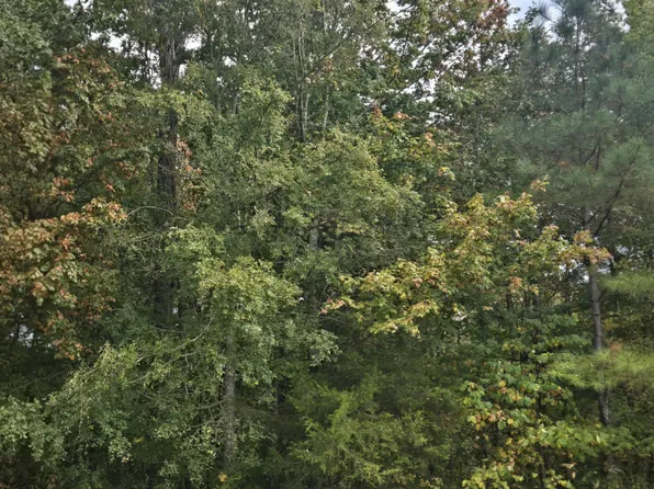 0 Haven Dr SW, Mc Donald, TN 37353