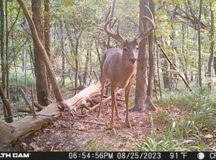 Perry St, Satartia, MS 39162