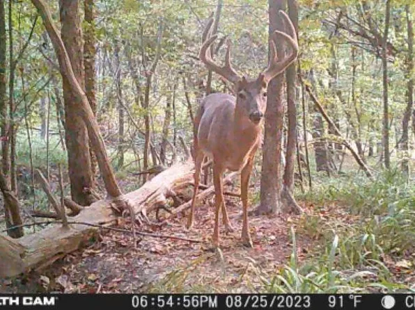 Perry St, Satartia, MS 39162