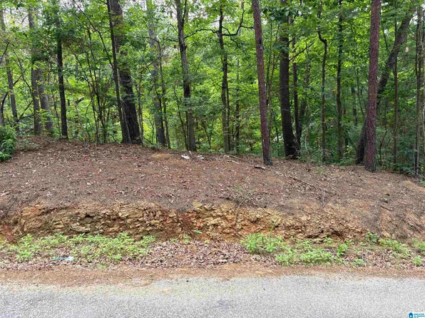LOT 23 Teddy Dr, Mc Calla, AL 35111