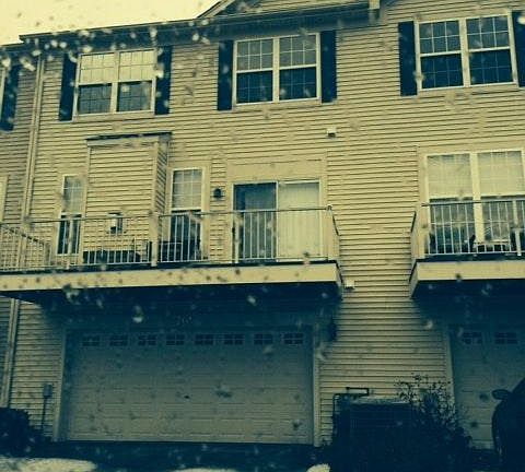 rear of house