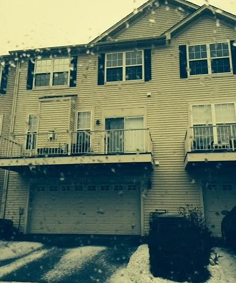 rear of house