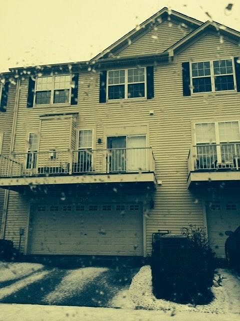 rear of house