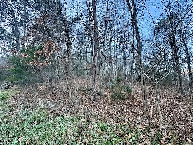 0 Cumberland Gap Rd photo 1