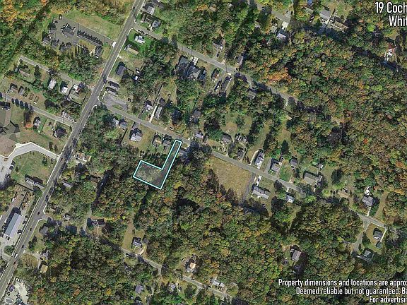 4th image of 19 Cochran St