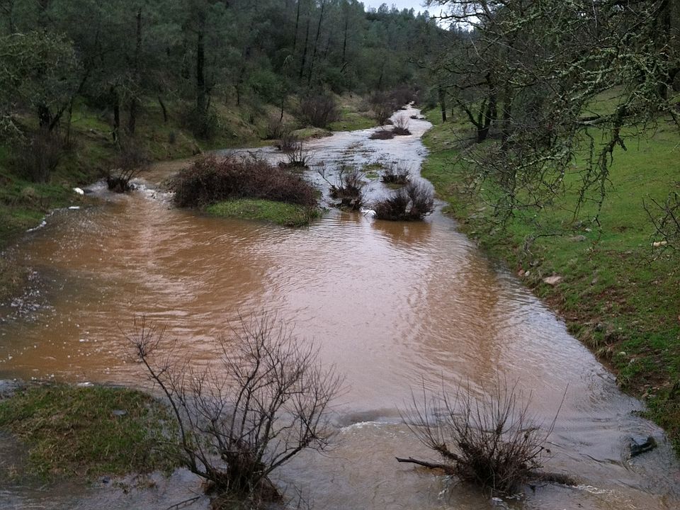 Winter Stream