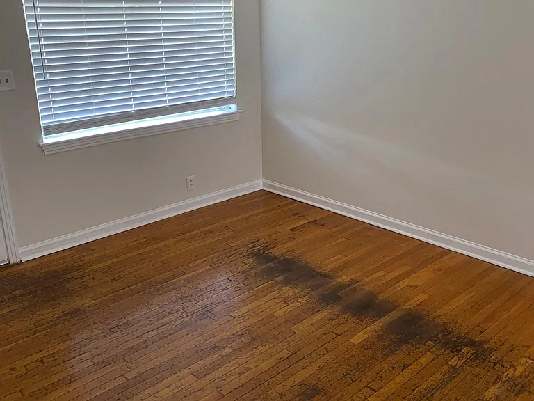 915 Grenada Dr — Photo 3