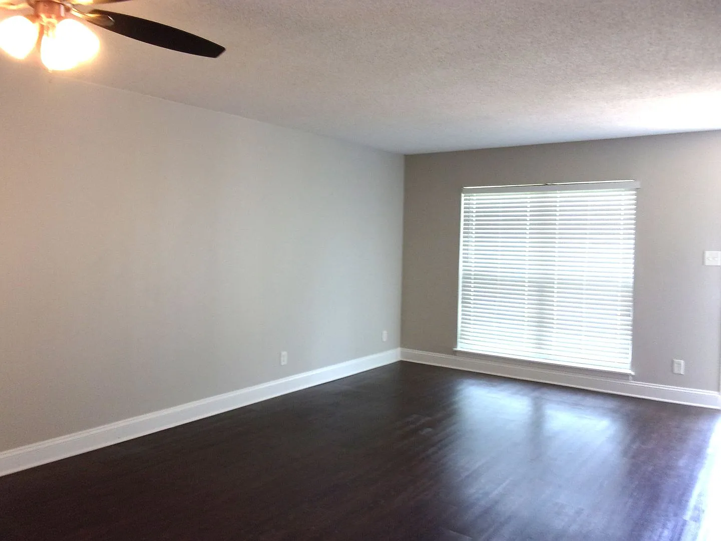 408 Ebenezer Avenue — Photo 4