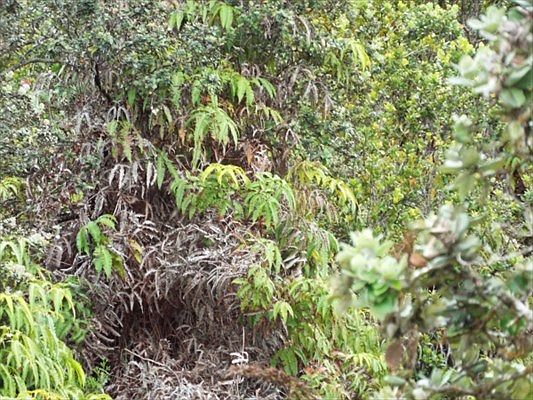 5th image of Pa Alii St Lot 1751