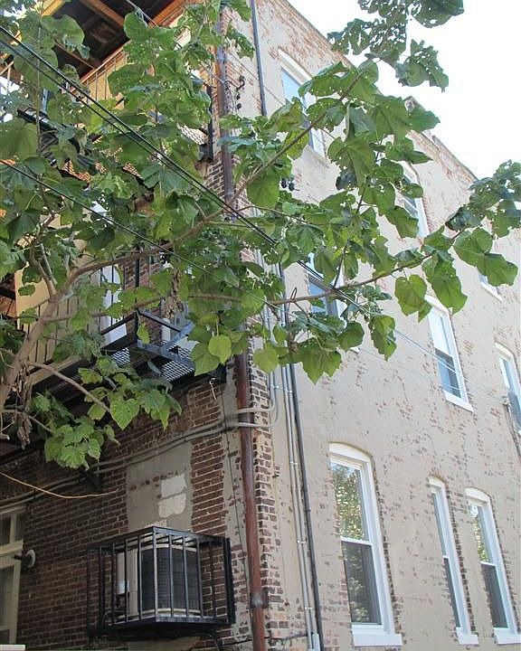 2nd image of 884 W Lombard St
