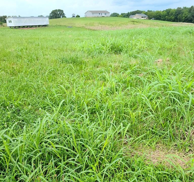 2nd image of 51 Oneil Rd Lot 51R