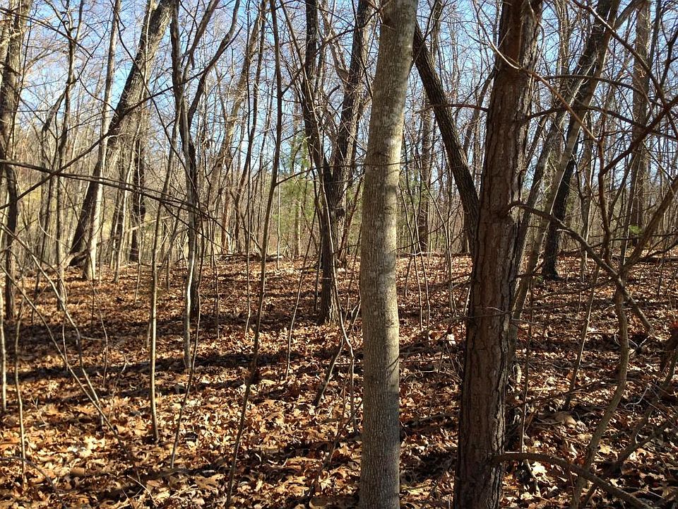1st image of Forest Hill Dr