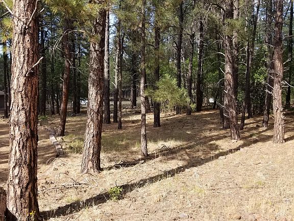 3rd image of 3515 E Pine Top Dr #61