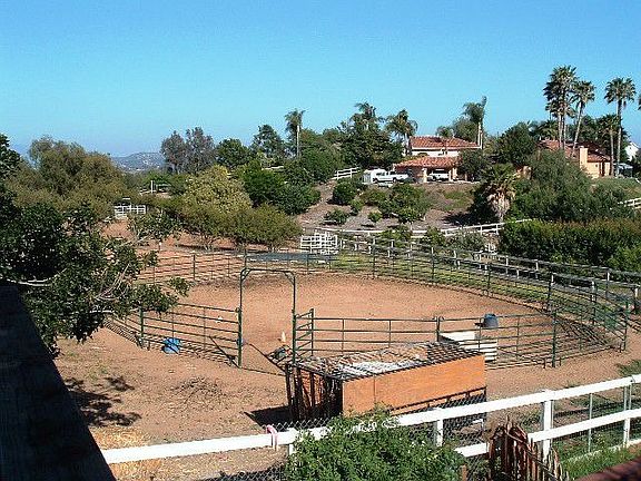Horse or animal area