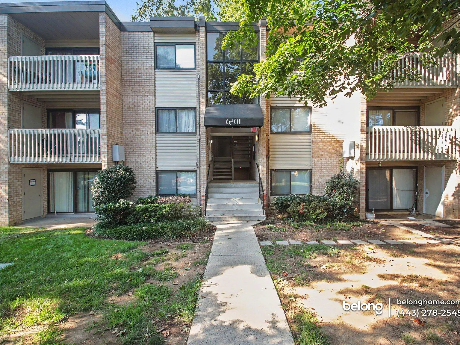 2 bed, 1.0 bath, 913 sqft, $1,825 — Photo 4
