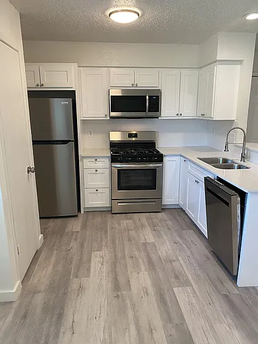 2305 Cedrick Cv #D Photo 1