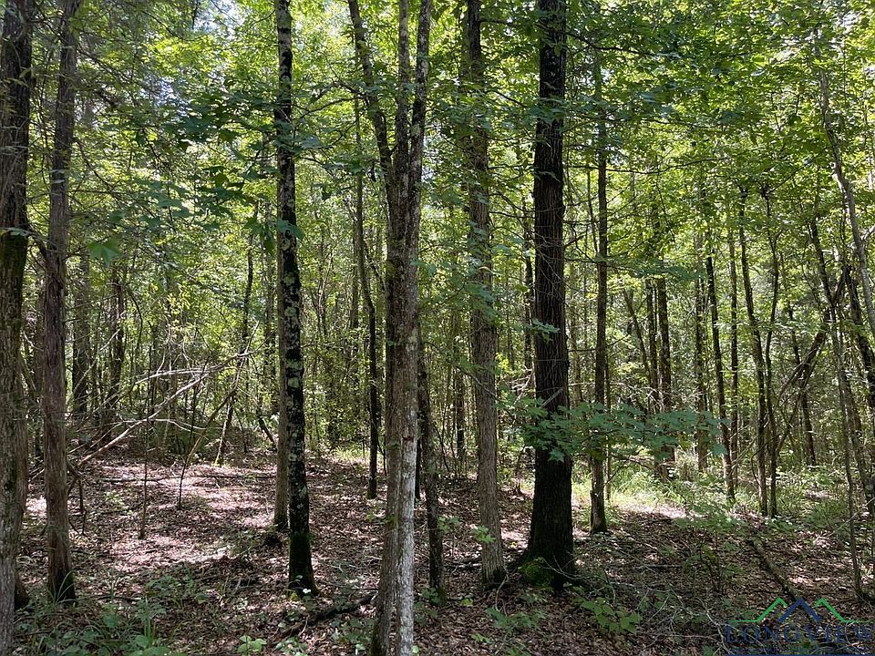 1st image of 0 County Road 4335