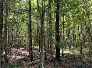 0 County Road 4335, Bivins, TX 75555