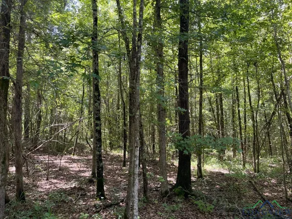 0 County Road 4335, Bivins, TX 75555