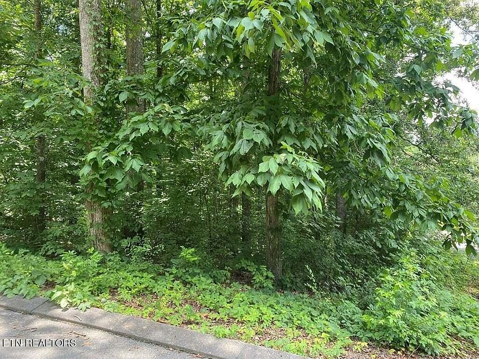 2nd image of 0 County Road 1121 Lot 14