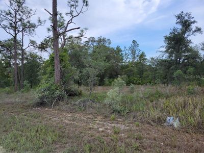 Cedarwood Avenue Lot #1, Brooksville, FL, 34614