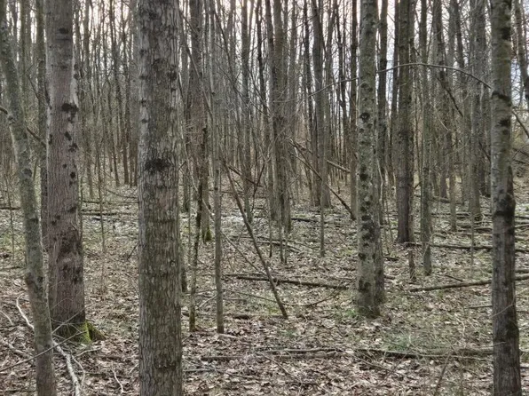 508 Cherry St, Blanchester, OH 45107