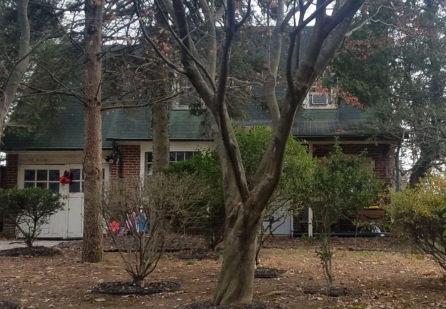 1st image of 317 Walnut Hill Ln