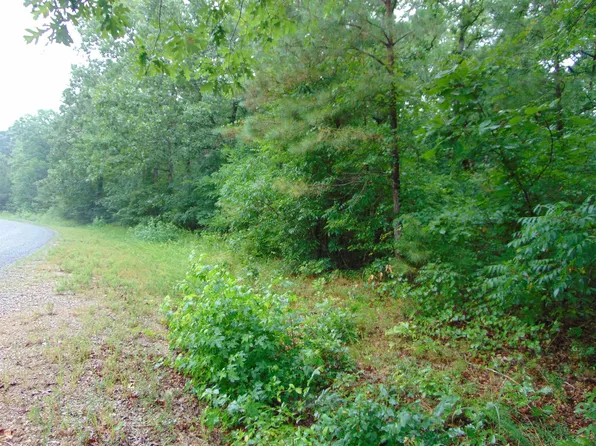 9 Riviera Cv, Cherokee, AL 35616