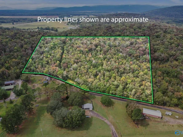 Old Grant Rd, Woodville, AL 35776