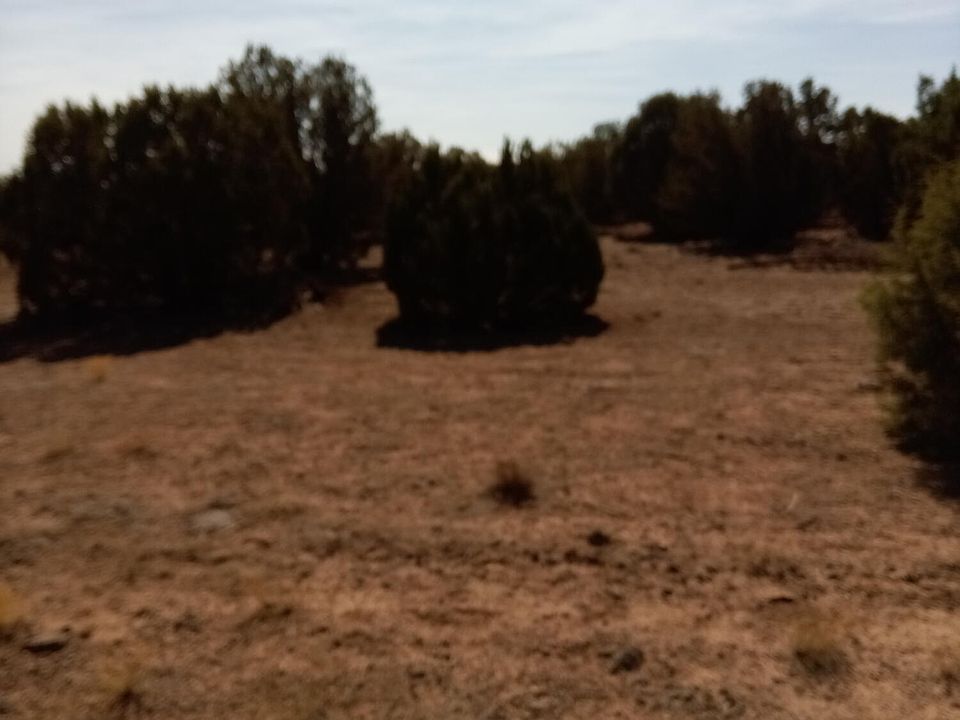 2nd image of Ranch Rd Parcel 304-78-006A
