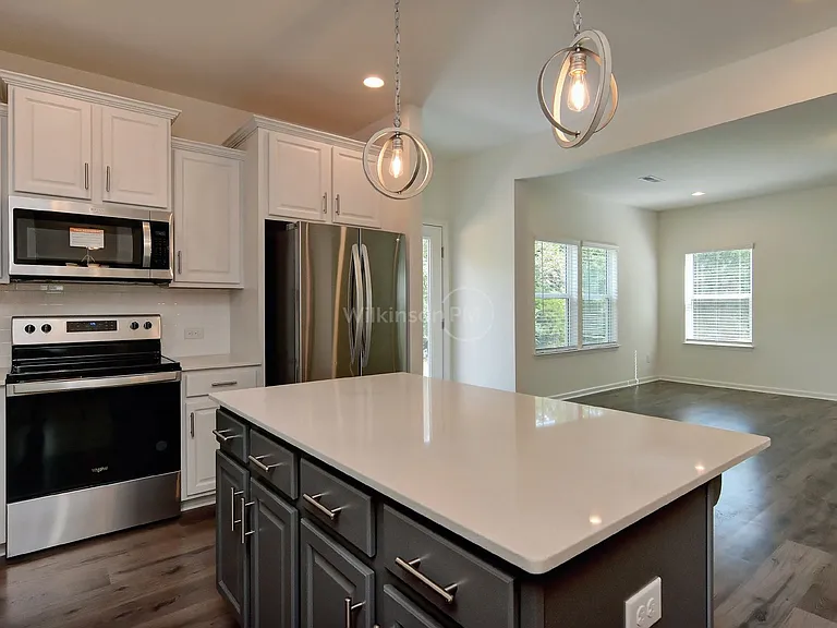 1220 Scotch Meadows Loop — Photo 16