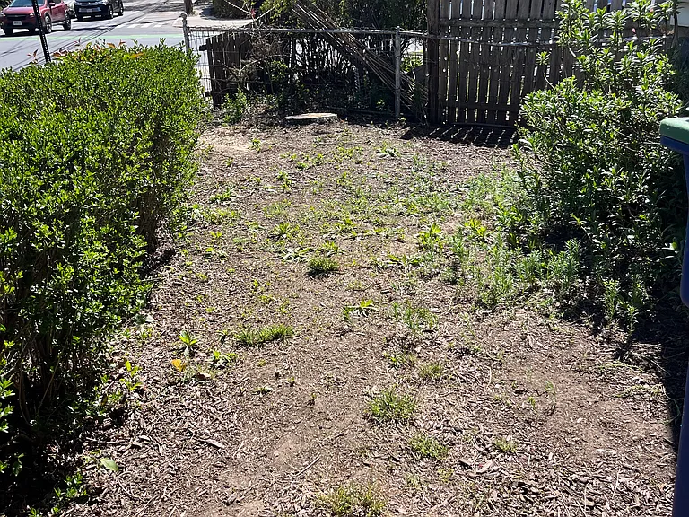 Curtis St — Photo 18