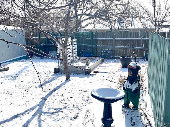 Yard with fruit trees and Spring flowers