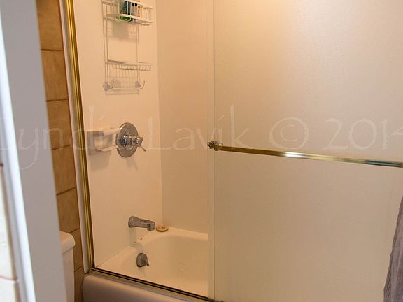 Shower in Master Bath