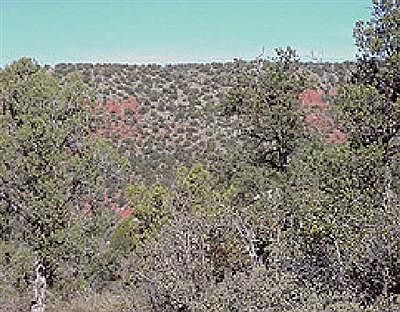 2nd image of 9 Cathedral Rock Trail