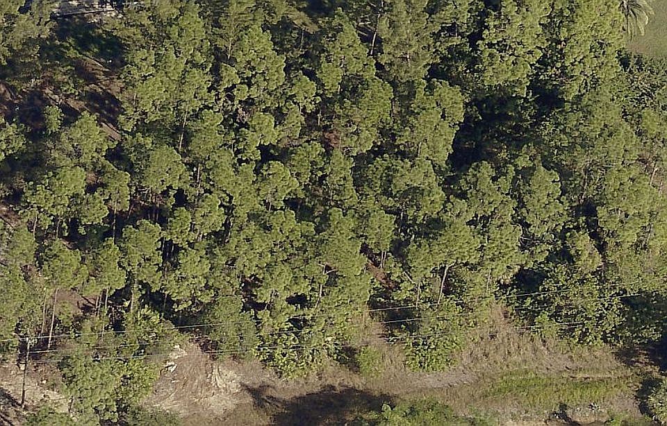 1st image of 10360 Strike Ln