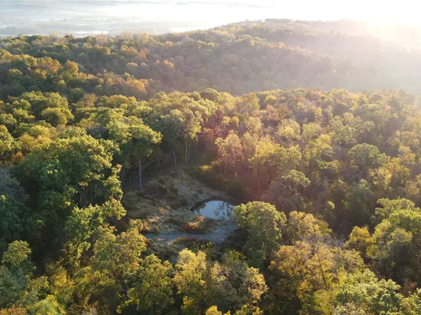 78/- Acres W, Hanover, IL 61041