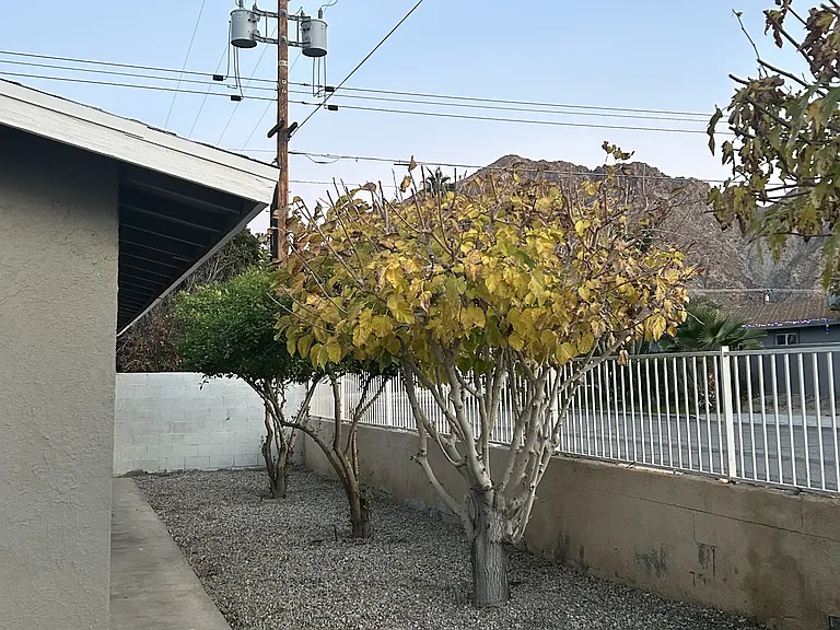 52710 Avenida Mendoza — Photo 28
