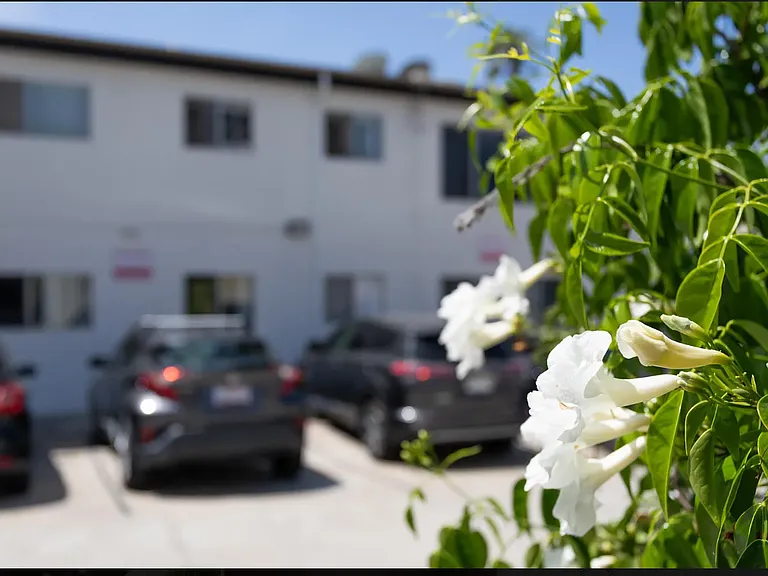 Alley Parking