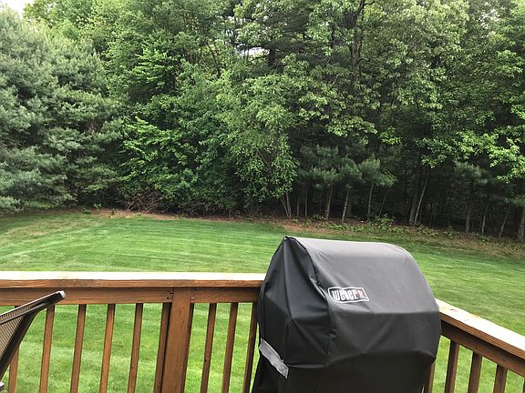 Back yard view